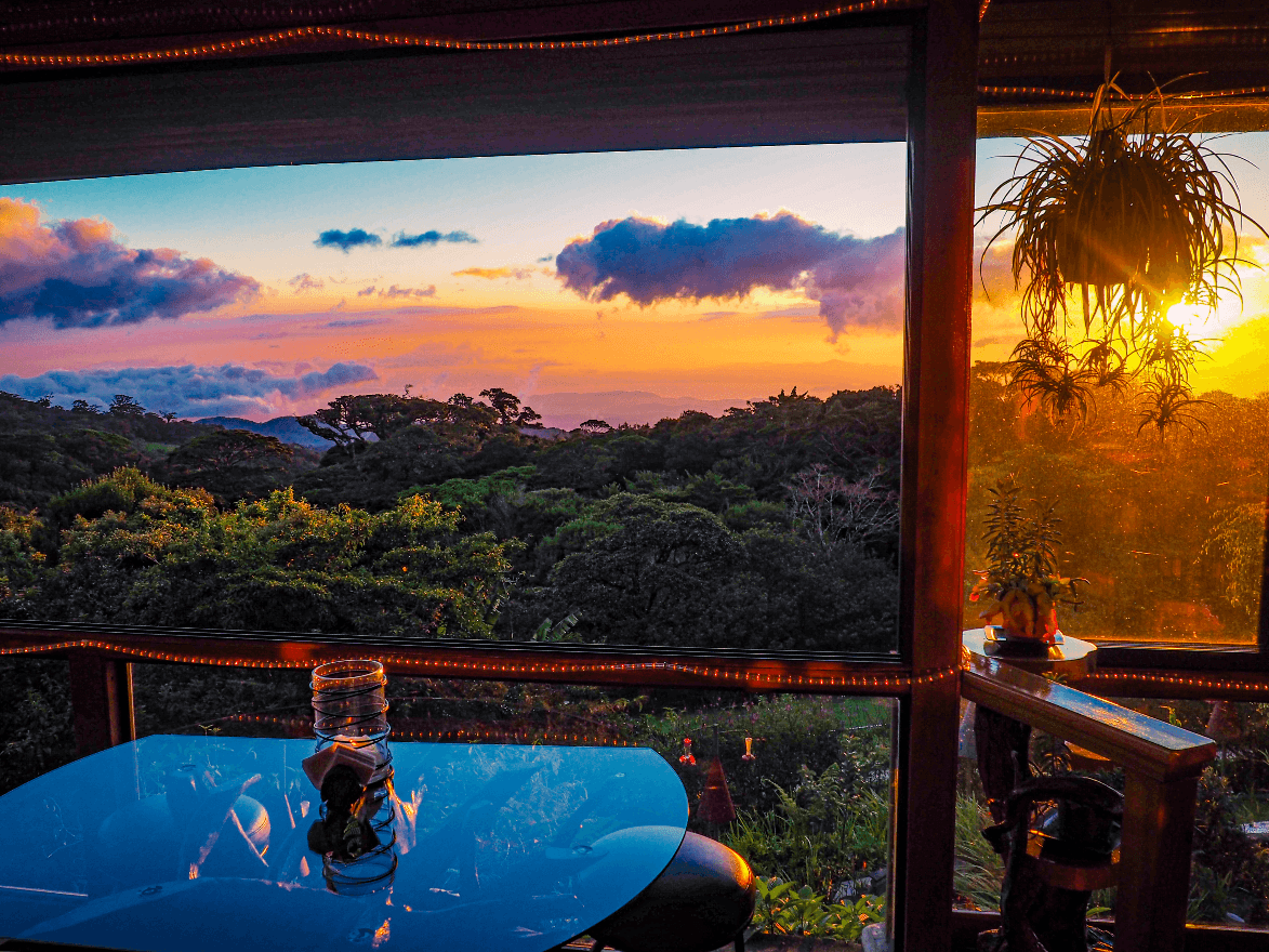 Aerial view of 80-acre property showing pristine jungle canopy