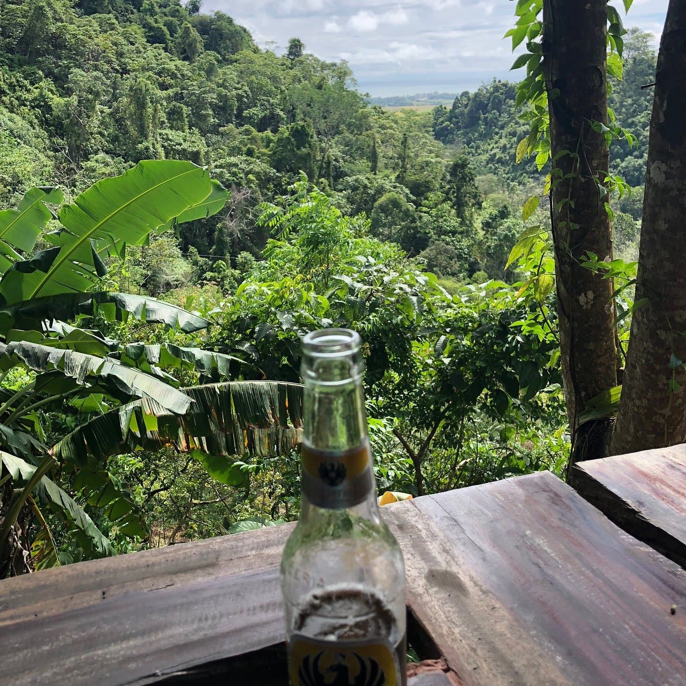 Panoramic mountain and ocean views from property peak